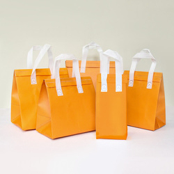 Cheap Insulated Non Woven Cold Thermal <b>Cooler</b> <b>Bag</b> for Food - Product Image 1