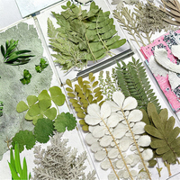 Kit Bahan Kerajinan Ukir Daun Campuran DIY, Daun Kapas Hijau Kering, Bunga Berurat, Bingkai Lilin, Embossing, Hari Ibu, Paskah