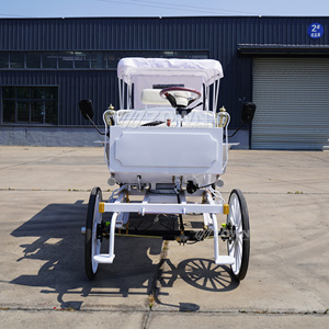 Charrette électrique de style vintage ZOWN, blanche, à toit ouvert, 4 places, pour les excursions et les mariages - Product Image 2