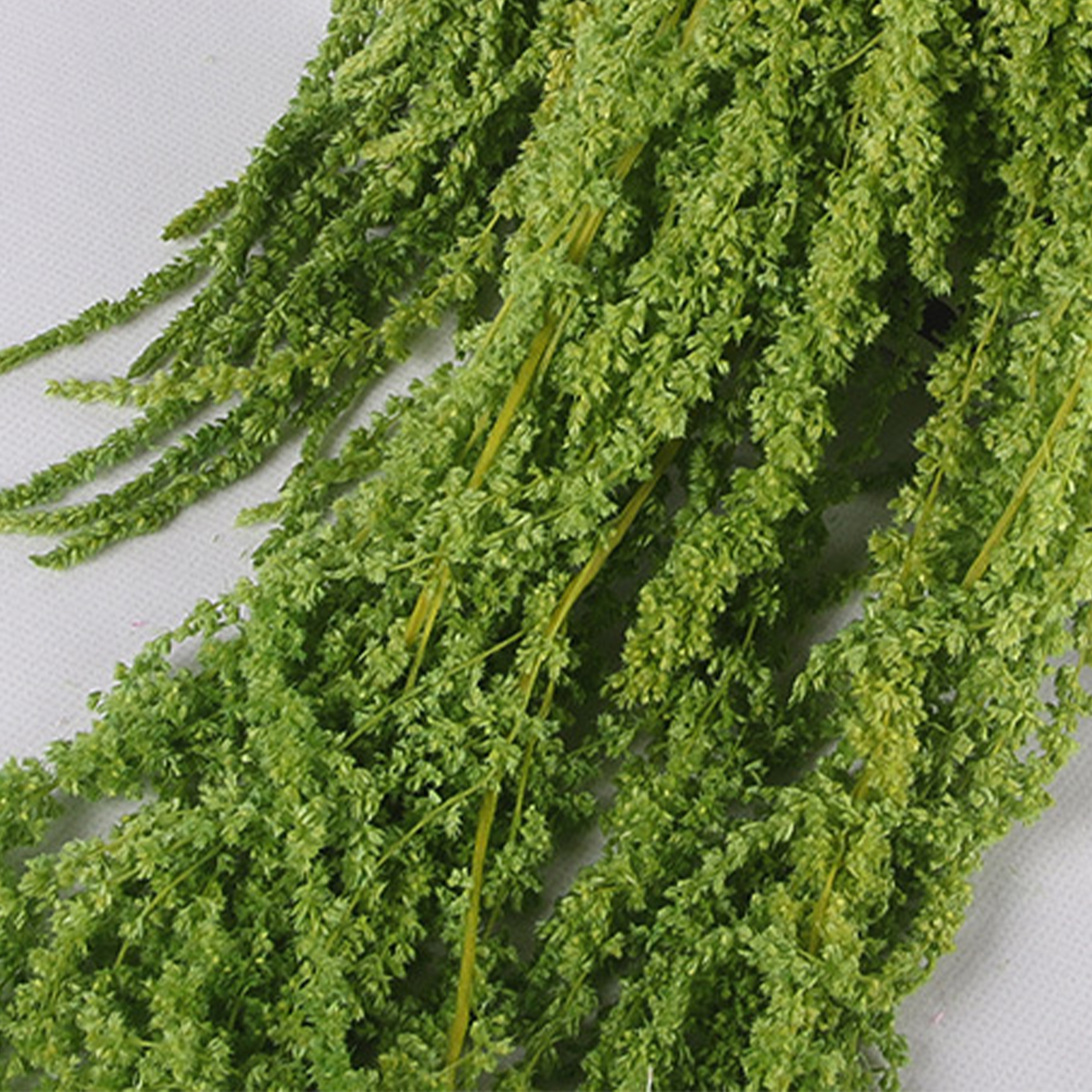 Fruit vert