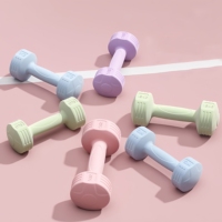Haltères CZFIT pour femmes, équipement de fitness pour la maison, haltères pour hommes, entraînement des bras, kettlebells, yoga, petits haltères