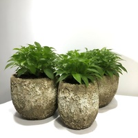 Pot Tanaman Semen Serbaguna Indoor/Outdoor untuk Dekorasi Rumah, Tanaman, Bunga, Penggunaan di Pusat Perbelanjaan, Kapasitas 50-100L, Modern