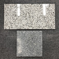 Dalles de granit noir, blanc et gris de Chine pour comptoirs, plateaux de table, pavés de sol et revêtements muraux - Prix compétitif
