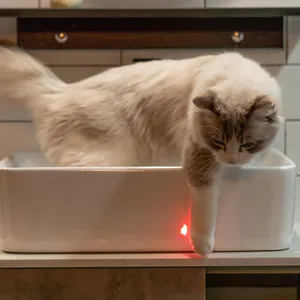 Giocattolo Laser per gatti retrattile elettronico all'ingrosso di vendita calda con bastone rompicapo per gatti giocattolo interattivo per animali domestici asta per gatti