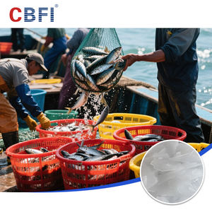 เครื่องทำน้ำแข็งเกล็ด10ตันเครื่องทำน้ำแข็งเกล็ดเย็นปลา - Product Image 6