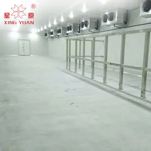 中国制造商蘑菇冷藏室制冷设备冷藏室