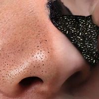 Bandes nasales en feuille d'hydrocolloïde au charbon de bois, très vendues - Nettoyage en profondeur, élimination des points noirs, patchs pour les pores, format voyage, végétalien, à base de plantes
