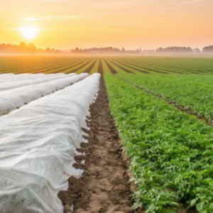 Couverture de plantes écologique anti-gel avec protection UV, résistante aux produits chimiques, extra large 36m, en PP spunbond non tissé pour usage agricole - Product Image 4