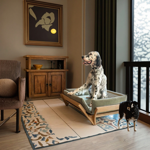 Lit de couchage pour animaux de compagnie en chêne massif de haute qualité, surélevé, pour intérieur, OEM - Product Image 2