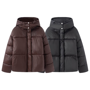 Veste décontractée chaude pour femme, printemps 2026, en polyester tissé respirant, épaisse, à capuche, col mandarin, avec détails boutonnés et fermeture éclair rétro - Product Image 1