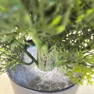 3/4/5/6 ft Ngoài Trời Chống UV nhân tạo tuyết tùng Cypress cây Lụa Nhân Tạo thực vật trang trí cây nhựa cây ngoài trời giả cây - Product Image 6