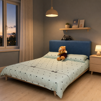 Lit d'adolescent en bois massif léger avec sommier à lattes, rangement amovible, démontable, écologique, facile à nettoyer, taille personnalisée pour appartement