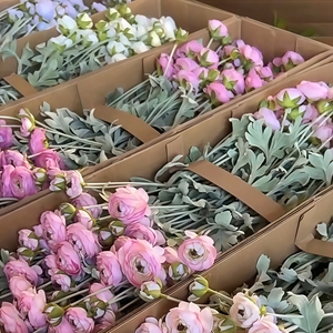 Simulation <span class=keywords><strong>de</strong></span> pivoine japonaise en soie, avec pétales réalistes, adaptée à la décoration <span class=keywords><strong>de</strong></span> la <span class=keywords><strong>maison</strong></span>, pas besoin d'arroser, longue durée - Product Image 1