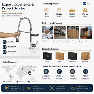 <span class=keywords><strong>Rubinetto</strong></span> da Cucina OEM Cromato con Maniglia Singola per <span class=keywords><strong>Acqua</strong></span> Fredda e Calda Purificata, Ideale per Progetti Alberghieri - Product Image 4