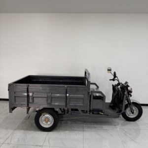Tricycle motorisé populaire à trois roues, benne basculante ouverte, haute capacité de transport de marchandises - Product Image 6