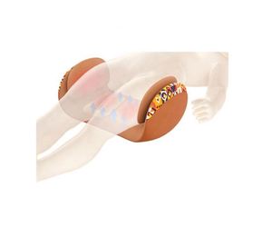 مساج القطني والأرداف والخصر قابل للتخصيص - Product Image 2