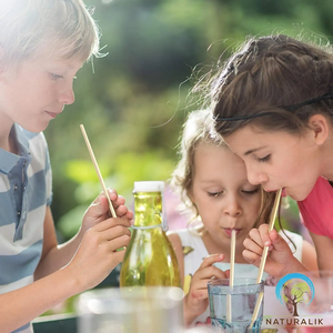 100% abbaubarer Trinkhalm aus natürlichen Bambusfasern, umweltfreundliches Einweggeschirr aus Weizenstroh, Papier, Mais, Zuckerrohr für Camping - Product Image 6