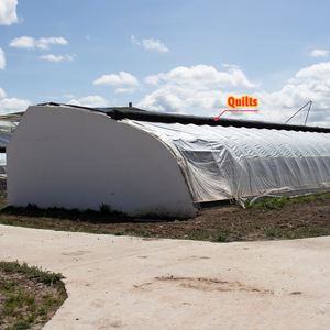 <span class=keywords><strong>Invernadero</strong></span> de Acero Galvanizado con Película de PE de un Solo Tramo Baolida, con <span class=keywords><strong>Manta</strong></span> Térmica de Alta Calidad <span class=keywords><strong>para</strong></span> Uso en Exteriores - Product Image 5