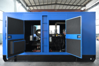 Générateurs Diesel Weichai 250kW 300kW 300kVA de Marque Chinoise de Renom, Alternateur Synchrone Sans Balais Robuste, Démarrage Automatique, Télécommande