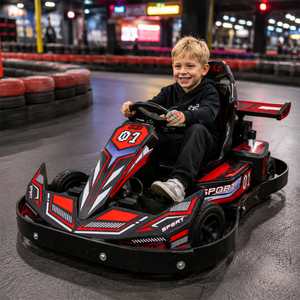Auto de Carreras a Batería de 350W para Niños, Go Karts para Niños, para Centros Comerciales, Parques de Diversiones - Product Image 5
