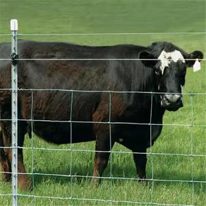 Clôture <span class=keywords><strong>de</strong></span> ferme en treillis métallique <span class=keywords><strong>de</strong></span> 4ft 5ft 6ft 8ft bon marché pour chèvres moutons chevaux clôture <span class=keywords><strong>de</strong></span> bétail joint <span class=keywords><strong>de</strong></span> charnière <span class=keywords><strong>de</strong></span> bétail pour enclos <span class=keywords><strong>de</strong></span> champ <span class=keywords><strong>de</strong></span> ferme - Product Image 5