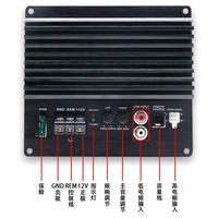 Amplificateur de puissance Hi-Fi DIY pour voiture, carte d'amplification audio pour subwoofer, sortie 100W pour lecteurs de voiture - Vente en gros usine