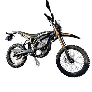 Vente en gros de VTT Ultra 74V 60Ah 21KW 511N.m 59mph tout-terrain à batterie lithium haute vitesse pour adultes - Product Image 1