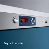 Horno de Prueba Vertical de Alta Temperatura con Controlador Digital LED Rojo y Ventana de Visualización para Pruebas Electrónicas