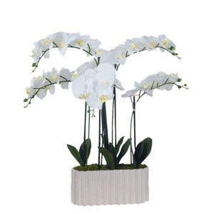 Oh Arts Fleurs Artificielles, Orchidées Artificielles, Phalaenopsis en Soie au Toucher Réel, Orchidées Près de Chez Moi, Fleur d'Orchidée - Product Image 1