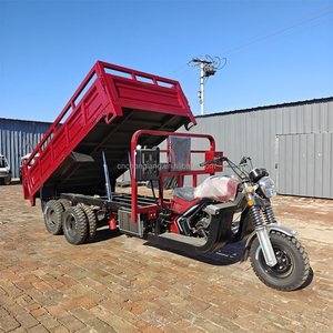 Refrigeración por agua de 350CC personalizado doble rueda 9 ruedas motocicleta doble eje trasero 9 ruedas <span class=keywords><strong>Triciclo</strong></span> de carga - Product Image 2