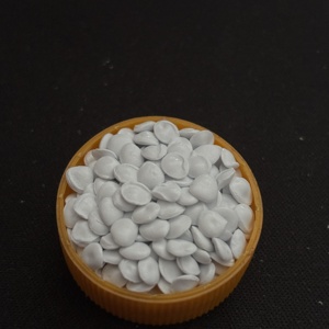 GF20 GFN2F PPO เกรดยานยนต์ทนความร้อนและทนน้ำมันสำหรับชิ้นส่วนเครื่องยนต์ - Product Image 1
