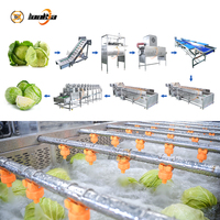 Zachte waslijn voor koolverwerking, groentesproeireinigingsmachine, coleslaw reinigings- en verwerkingslijn