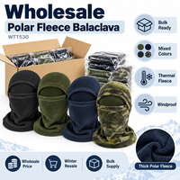 Cagoule en polaire coupe-vent pour l'hiver, masque de ski, doublure de casque de moto, vente en gros, couleurs assorties, emballage en vrac