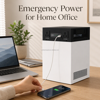 Batterie lithium LiFePO4 tout-en-un haute capacité 2 kWh 6,4 V 314 Ah avec BMS intelligent CAN, 6000+ cycles pour UPS de bureau à distance