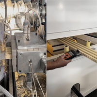 Machine d'extrusion de panneaux muraux en PVC/WPC à double vis haute vitesse avec options de tension 220V/380V