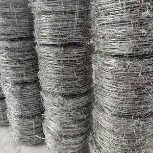 Kualitas tinggi harga yang kompetitif penjualan terbaik produsen kawat besi galvanis untuk konstruksi dan perlindungan jenis melingkar - Product Image 6