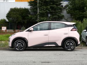 Chine Byd Seagull Byd Dolphin Mini Véhicule Ev Byd Seagull Flying 2024 Pour Taxi Nouvelle Énergie Voitures Électriques Véhicules - Product Image 4