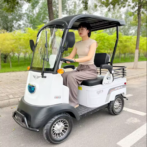 Voitures de golf miniatures à prix de gros, 2 places, faciles à utiliser pour les personnes handicapées et les personnes âgées, prix bas - Product Image 2
