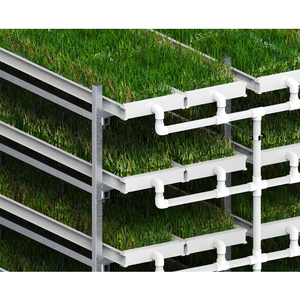 Sistema di coltivazione idroponica interna areoponica Microgreens semi di grano in PVC sistema di foraggio - Product Image 5