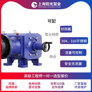 ปั๊มสูบจ่ายสารเคมีไฮดรอลิกแบบไดอะแฟรม รุ่น DY-D 4540 ยี่ห้อ Shanghai Sunshine Pump Industry ผลิตจากสแตนเลส 316 ขับเคลื่อนด้วยไฟฟ้า - Product Image 5