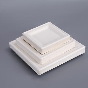 Vaisselle jetable personnalisée en pulpe de canne à sucre, assiettes carrées compostables 100% biodégradables pour fêtes - Product Image 2