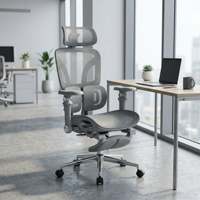 Chaise de bureau ergonomique en maille de milieu de gamme pour les projets de bureaux au Qatar et la distribution