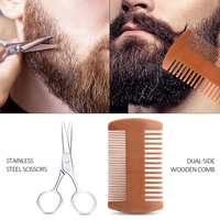Ensemble de rouleaux de croissance de barbe pour hommes à base de plantes véganes biologiques avec huile d'argan et sérum rafraîchissant - Soins professionnels de la barbe