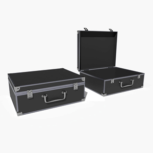 Tùy chỉnh giá rẻ chuyên nghiệp trường hợp chuyến bay nhôm hộp công cụ lưu trữ cặp - Product Image 5