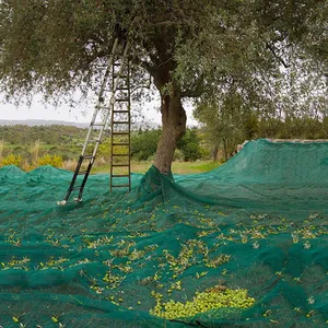 HDPE ถักมะกอกสุทธิคอลเลกชันเก็บเกี่ยวตาข่ายการเกษตรเรือนกระจกพลาสติกมะกอกตาข่ายอิตาลีตลาดตูนิซ
