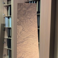 Panneaux muraux WPC en gros pour revêtement mural intérieur 900x2800mm 9mm, étanches, motif grain de bois érable doré