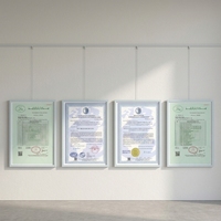 Poudre d'assaisonnement authentique au goût de poulet, cinq épices chinoises, qualité professionnelle pour chefs, mélange séché certifié ISO9001/BRC/HACCP