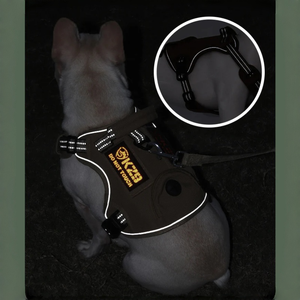 Botiquín de Primeros Auxilios para Mascotas - Uso de Emergencia para Mascotas, Material de Poliéster/Nailon, Diseño Sólido, Estilo Lujoso - Product Image 6