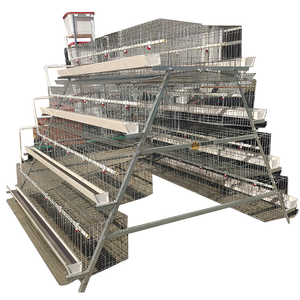 กรงเลี้ยงไก่ไข่แบบ H สำหรับเลี้ยงไก่เนื้อใน<span class=keywords><strong>บ้าน</strong></span> ระบบอัตโนมัติ - Product Image 1