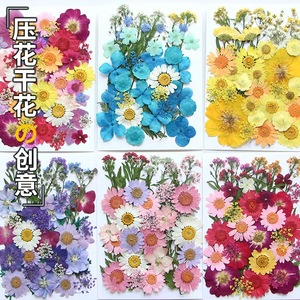 Vente en gros de mini sacs de matériaux de <span class=keywords><strong>fleurs</strong></span> sèches bricolage maquillage Nail Art cadre de téléphone décor vraies <span class=keywords><strong>fleurs</strong></span> pressées séchées naturelles pour résine - Product Image 3